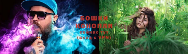 дурь Алексеевка