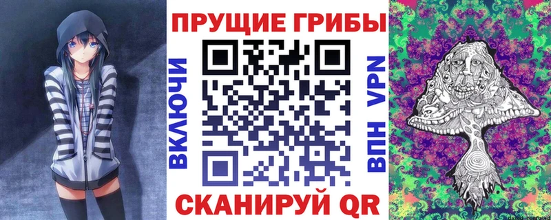 Галлюциногенные грибы Cubensis  купить закладку  OMG онион  Туринск 